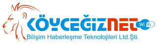 koycegiznet.com.tr